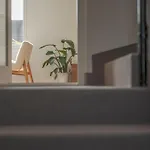 فيلة Venez Chez Vous Singa *