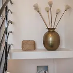 فيلة Venez Chez Vous Singa *