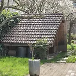 فيلة Venez Chez Vous Singa *