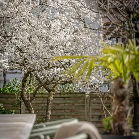 Venez Chez Vous Singa Villa Annecy